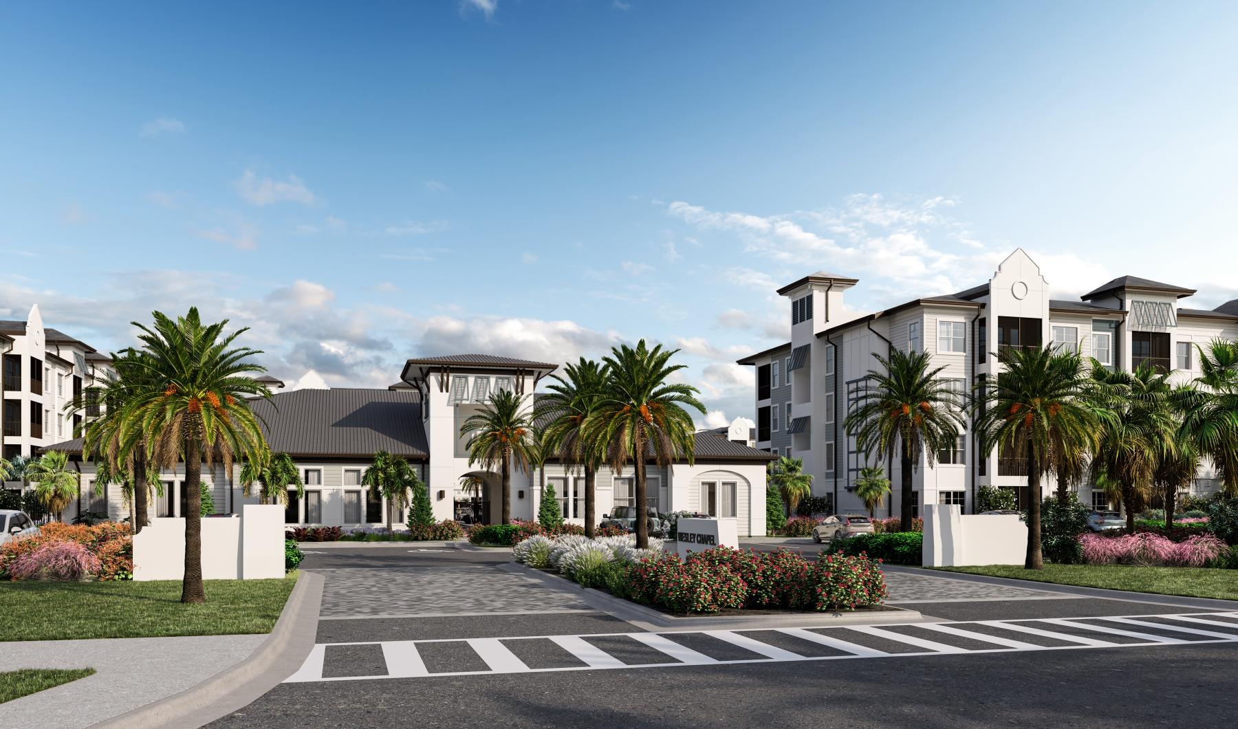 a street with palm trees and buildings